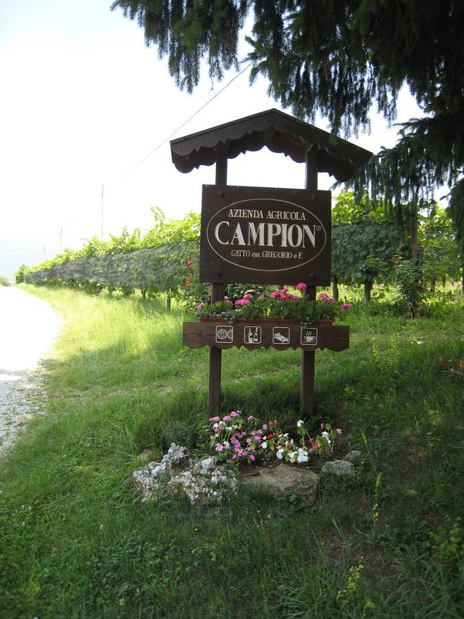 Azienda Agricola Campion Valdobbiadene Eksteriør billede